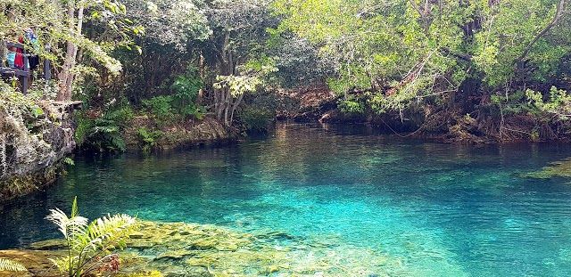 Park Ekologiczny Indigenous Eyes