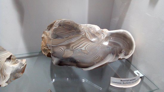 Muzeum Minerałów i Skamieniałości
